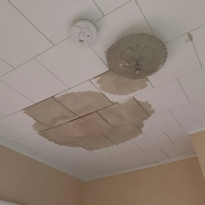 Ceiling Water Damage Repair in Clay County, MS