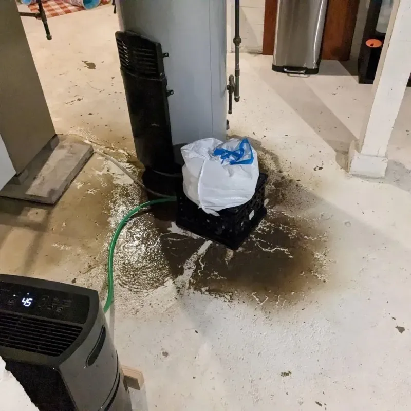 Sewage Backup Cleanup Service in Clay County, MS